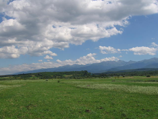 stb_0132.jpg