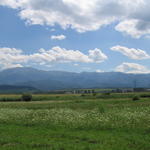 std_0134.jpg