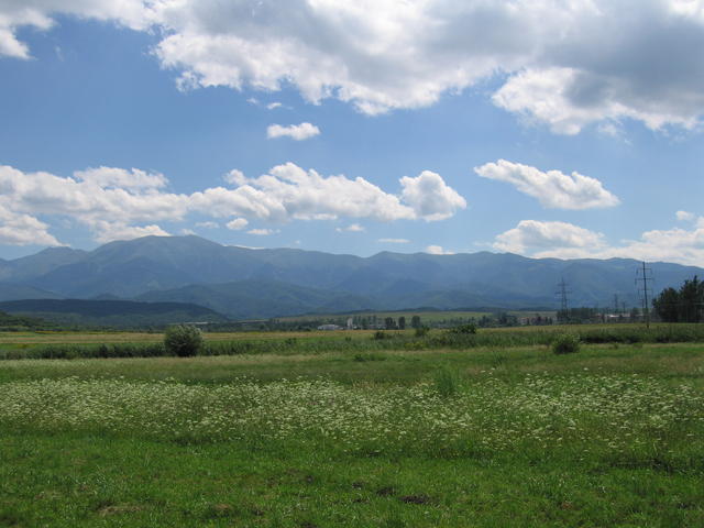 std_0134.jpg