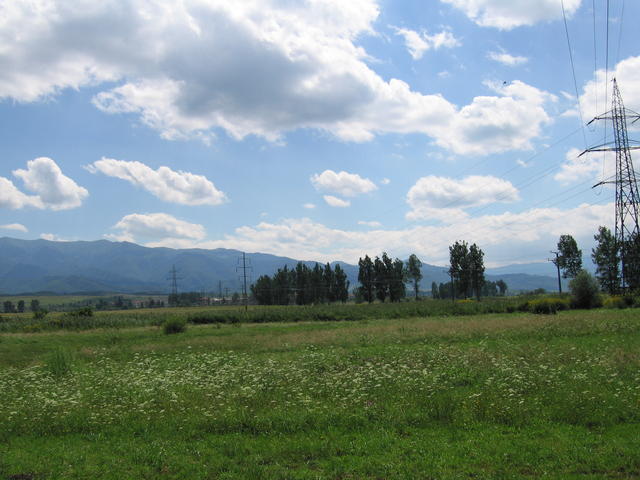 ste_0135.jpg