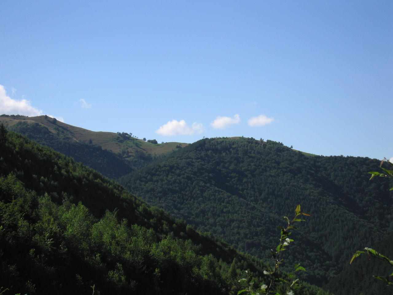 img_0115.jpg