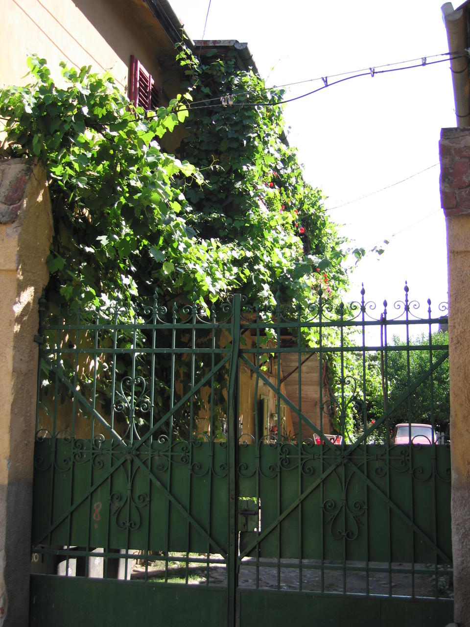 img_0154.jpg