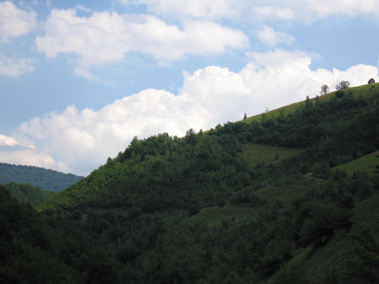 img_0183.jpg