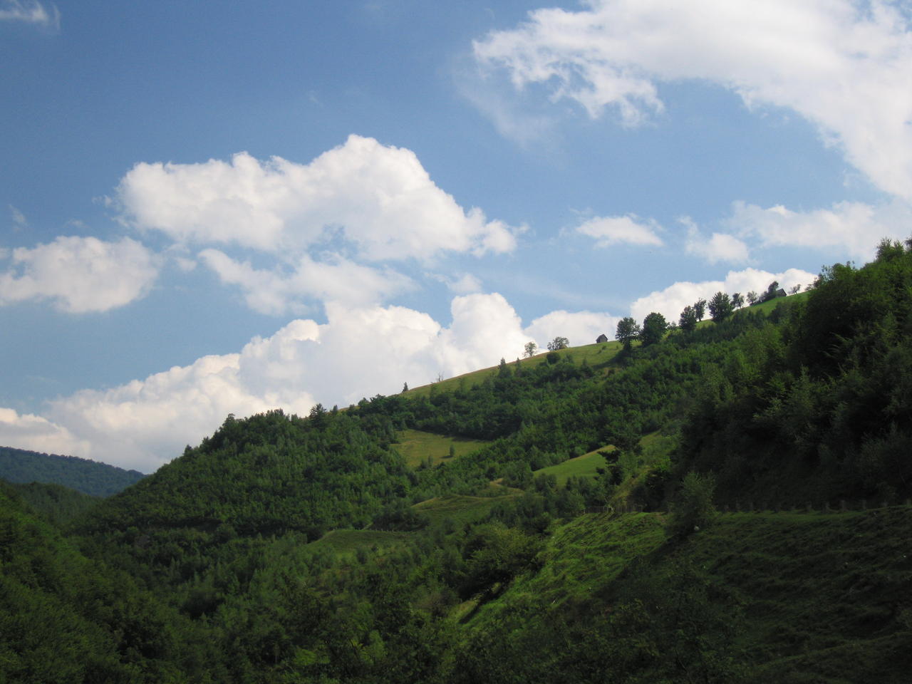img_0184.jpg