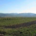 dsc00002.jpg