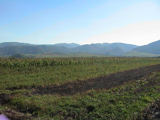 dsc00002.jpg