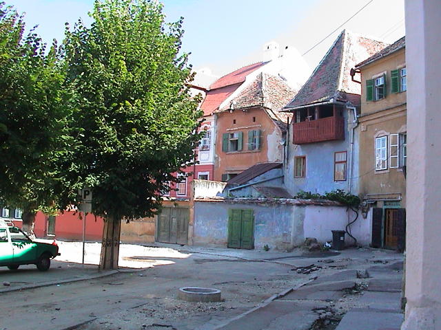 dsc00008.jpg