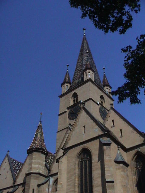 dsc00011.jpg