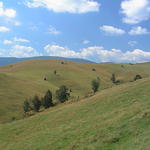 dsc00014.jpg