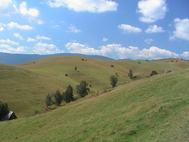 dsc00014.jpg