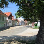 dsc00019.jpg