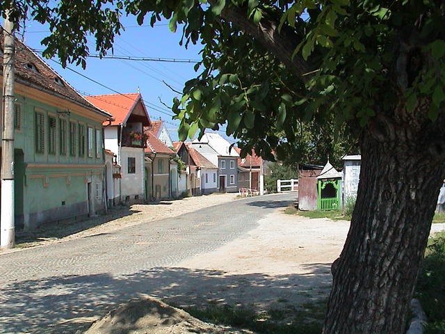 dsc00019.jpg