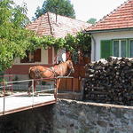 dsc00020.jpg