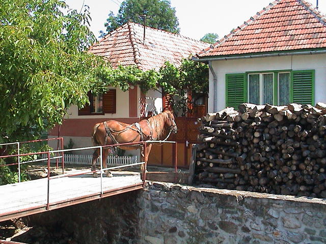 dsc00020.jpg