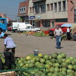 dsc00050.jpg