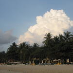 IMG_2876.JPG