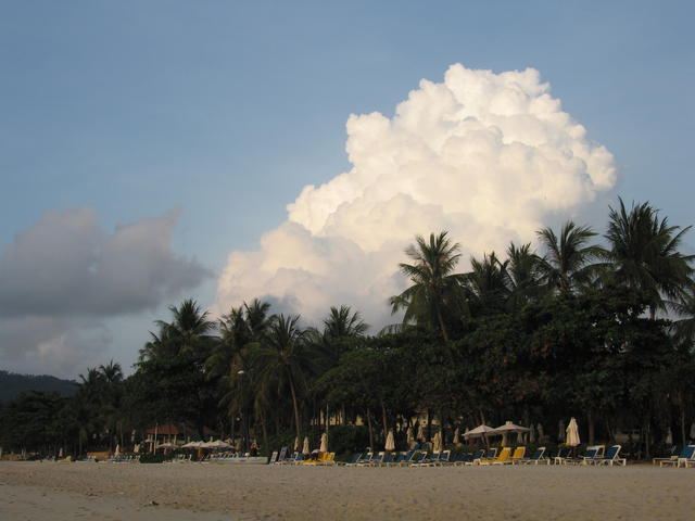 IMG_2876.JPG