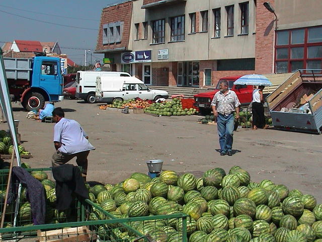 dsc00050.jpg