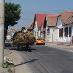 dsc00056.jpg