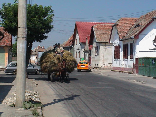 dsc00056.jpg