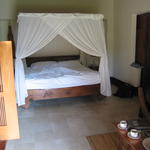 img_0539.jpg