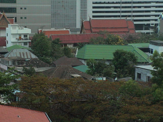 dsc00009.jpg