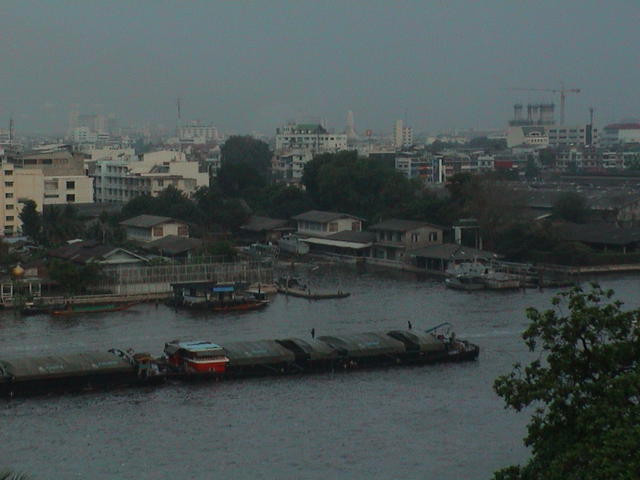 dsc00010.jpg