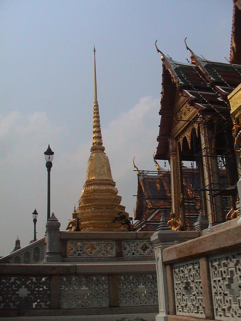 dsc00025.jpg