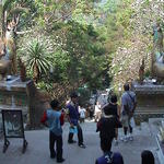 dsc00061.jpg