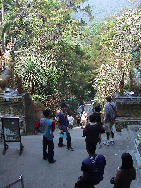 dsc00061.jpg