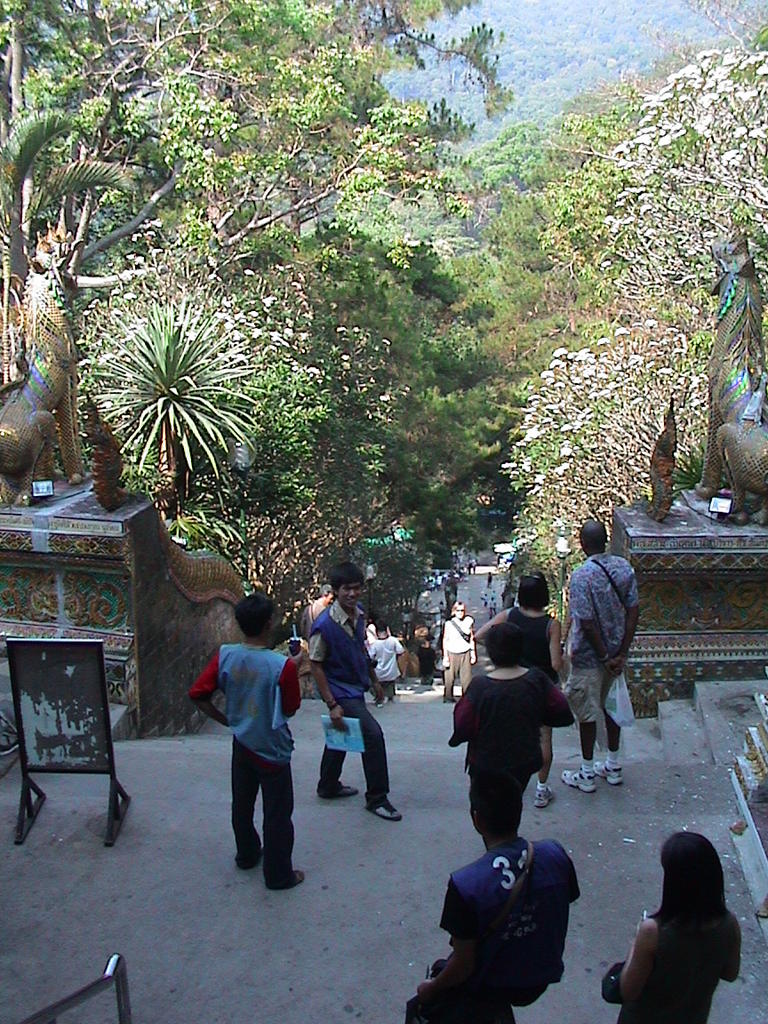 dsc00061.jpg