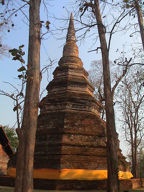 dsc00064.jpg