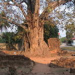 dsc00068.jpg