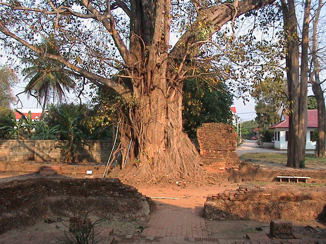 dsc00068.jpg