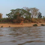 dsc00078.jpg
