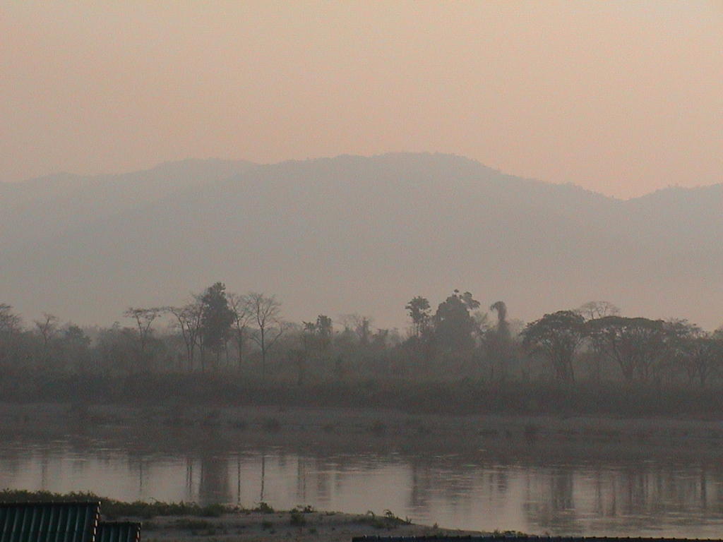 dsc00091.jpg