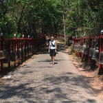 dsc00095.jpg