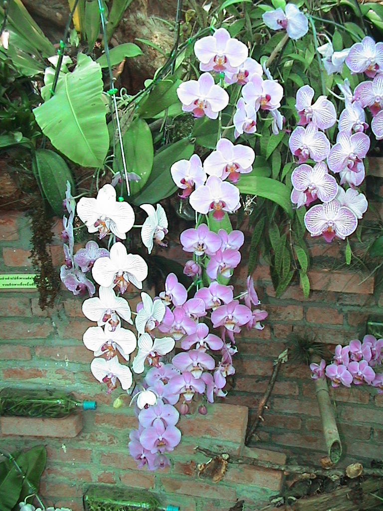 dsc00100.jpg
