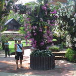 dsc00102.jpg