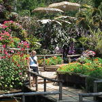 dsc00103.jpg