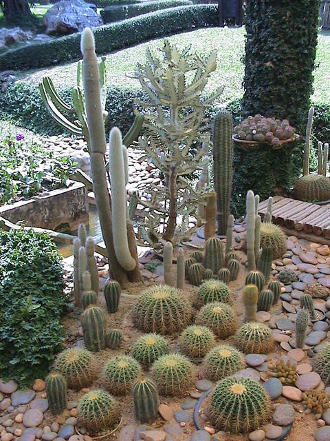 dsc00104.jpg