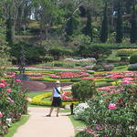 dsc00105.jpg