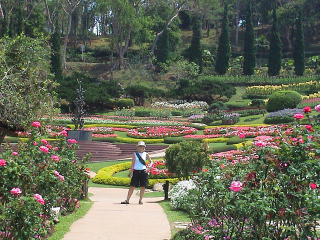 dsc00105.jpg