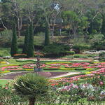 dsc00106.jpg