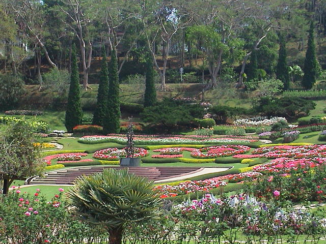 dsc00106.jpg