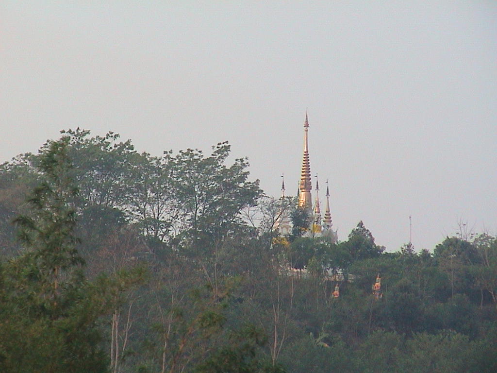 dsc00113.jpg
