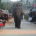 dsc00122.jpg