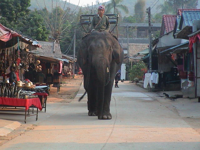 dsc00122.jpg
