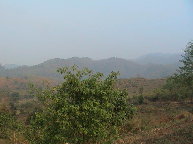 dsc00124.jpg