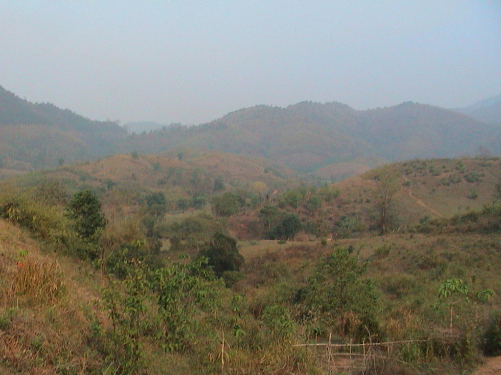 dsc00125.jpg